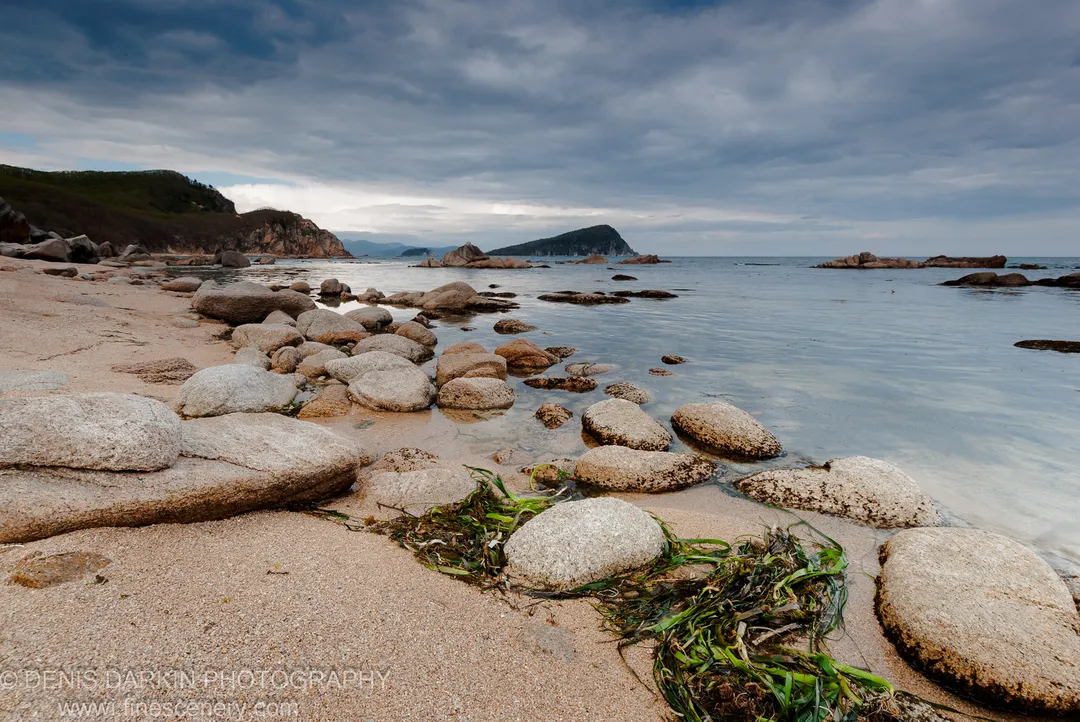 Green seaweed rests on pale granite stones along the shoreline of Petrova Island, with a distant headland visible under an overcast sky.