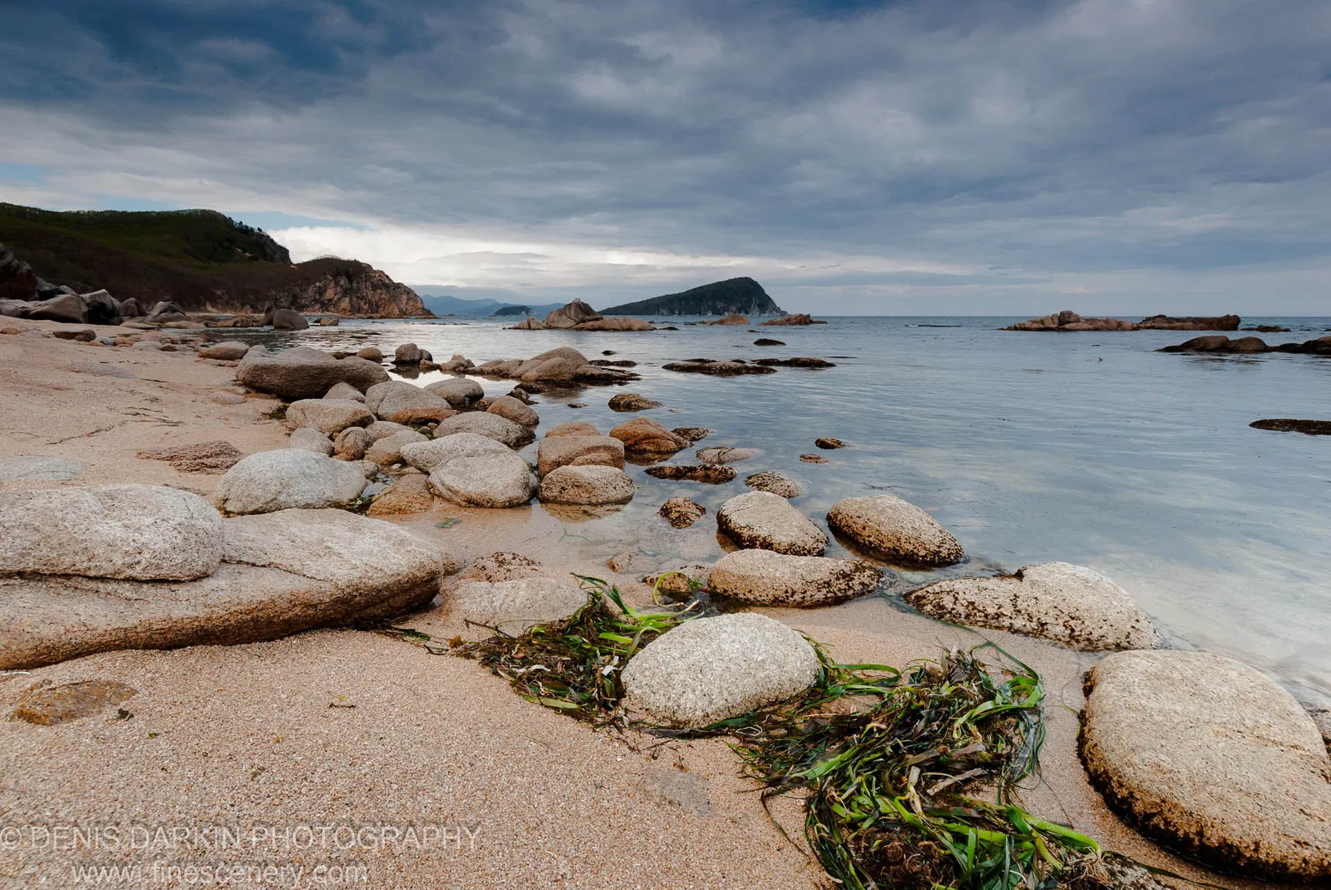 Green seaweed rests on pale granite stones along the shoreline of Petrova Island, with a distant headland visible under an overcast sky.