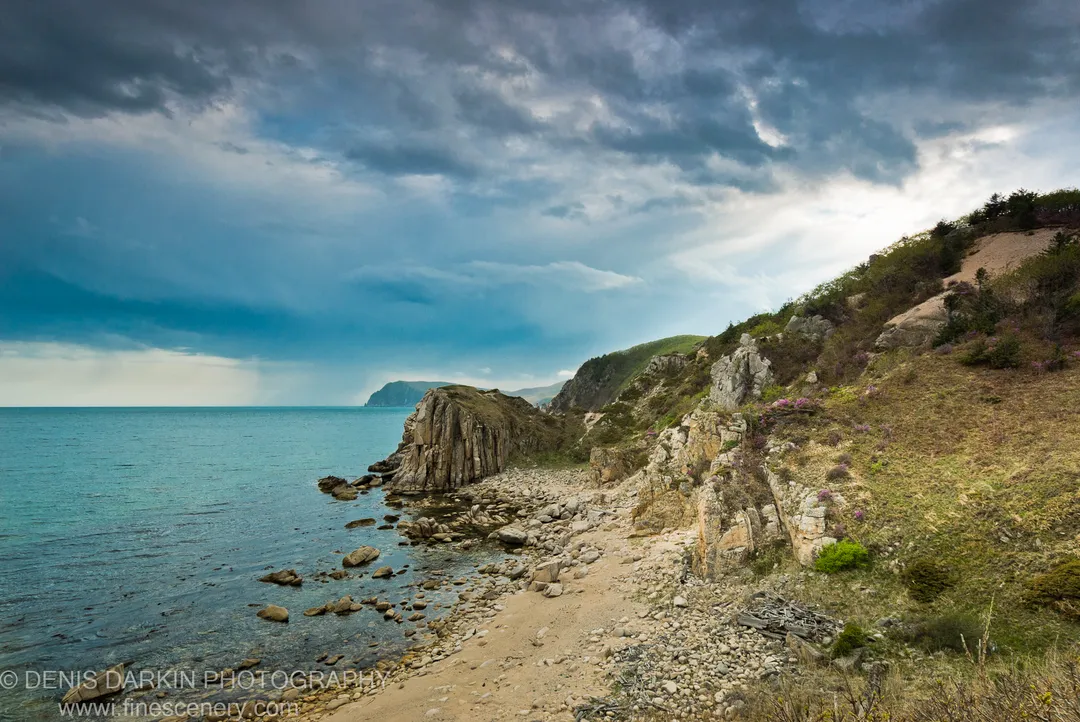 Rugged coastline at Petrova Island with dark clouds overhead, grey pebbles and sandy paths in the foreground, and purple wildflowers on the grassy slopes.