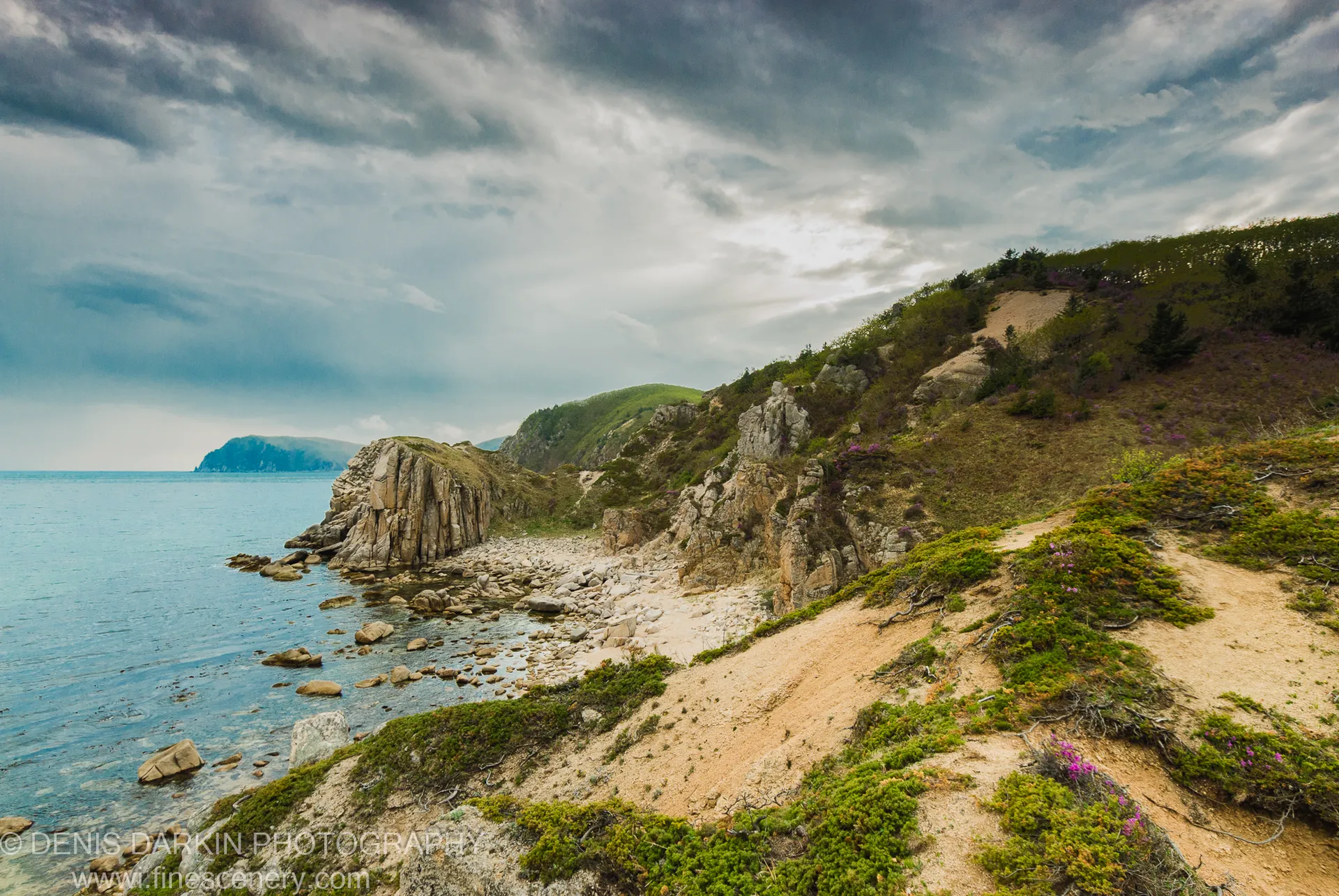 A diagonal sandy path cuts through low coastal heathland and purple wildflowers toward a vertical rock face at the water's edge, Petrova Island.