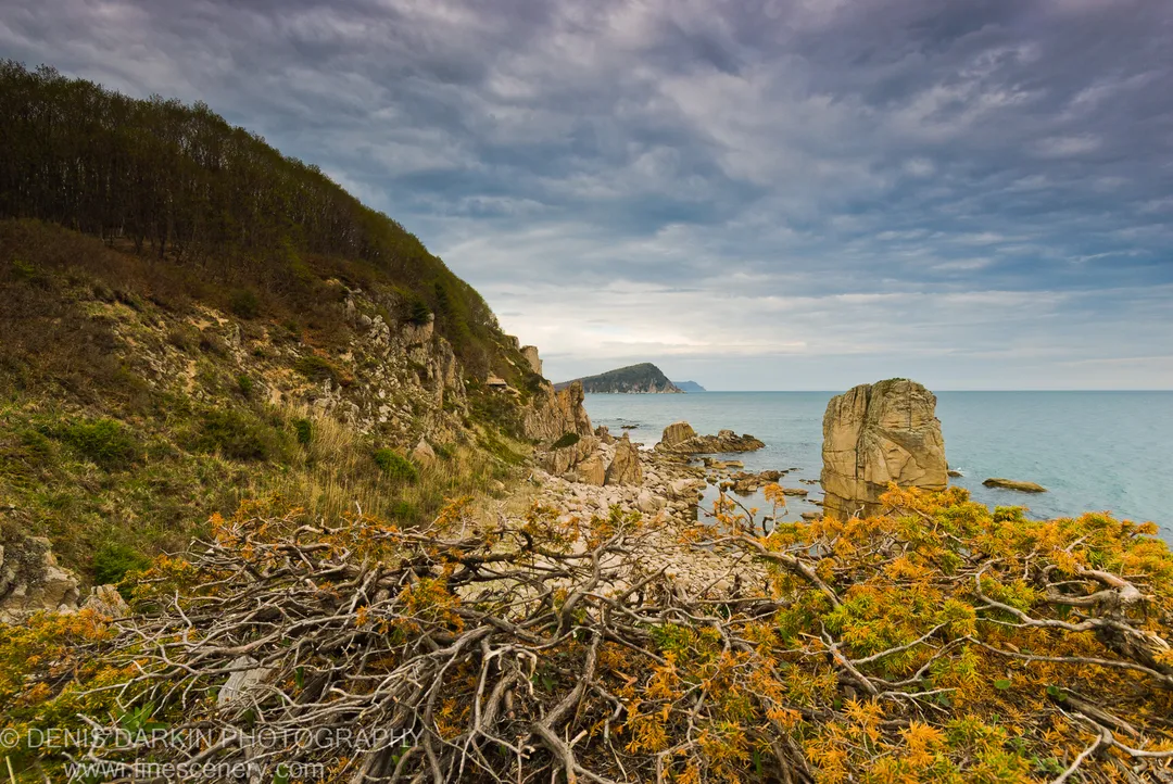 Dry branches and sparse shrubs in the foreground above Petrova Island's rocky coast, with a sea stack and layered clouds beyond.