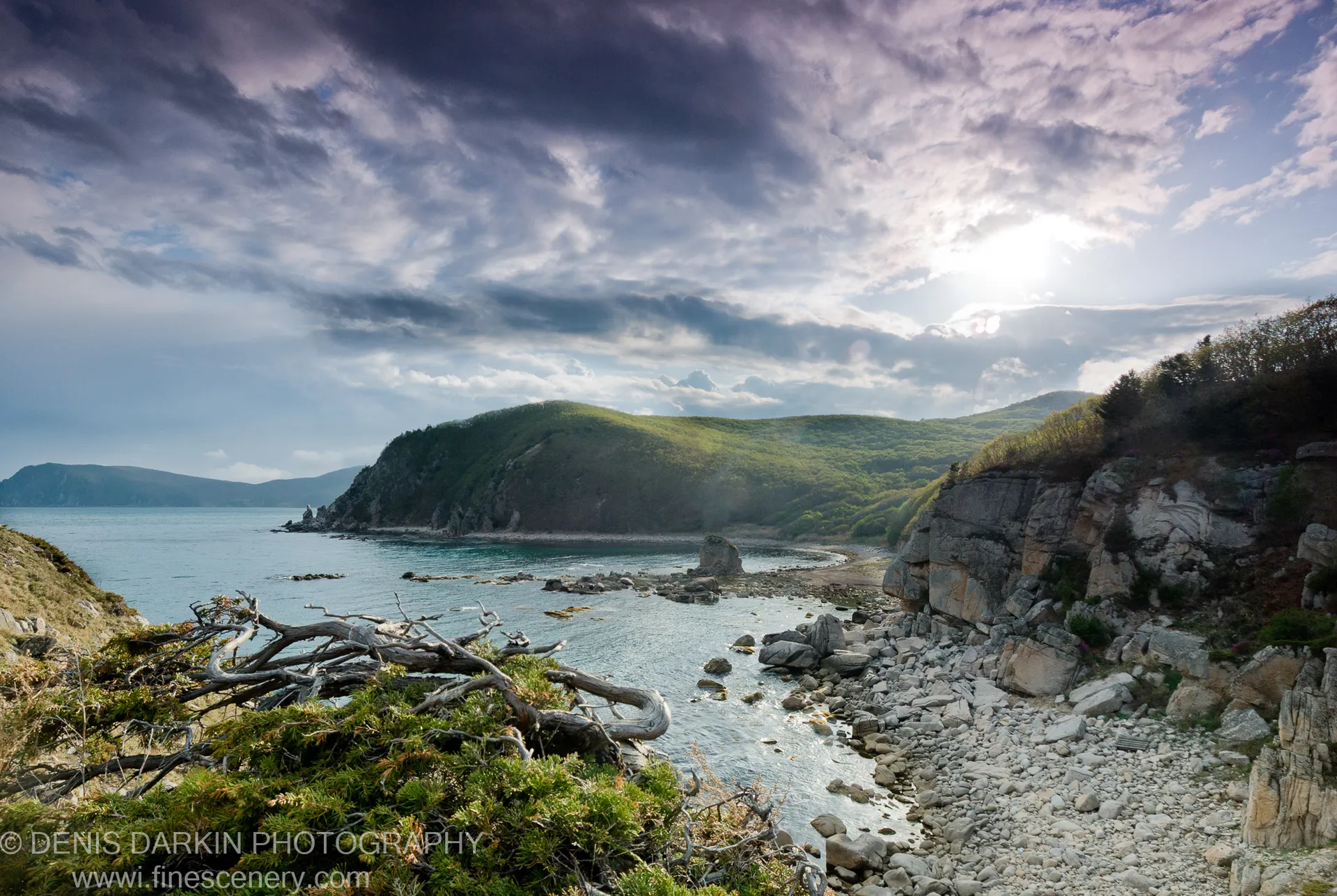 Twisted driftwood rests on low green shrubbery above a secluded cove at Petrova Island, with a sunburst breaking through storm clouds.