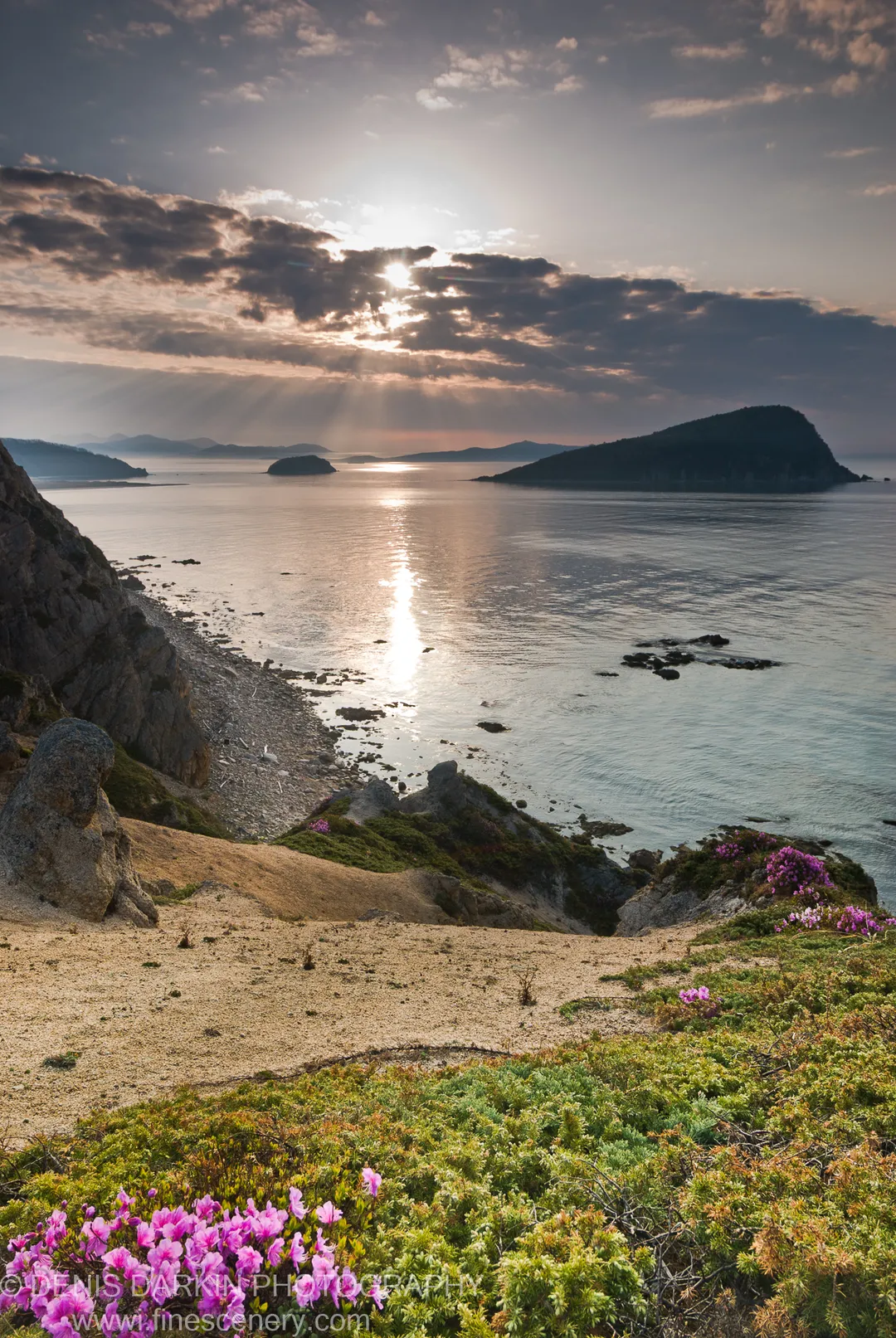 Magenta rhododendrons line a sandy slope above a crescent beach, with sun rays breaking through clouds toward rocky islets in the calm bay.