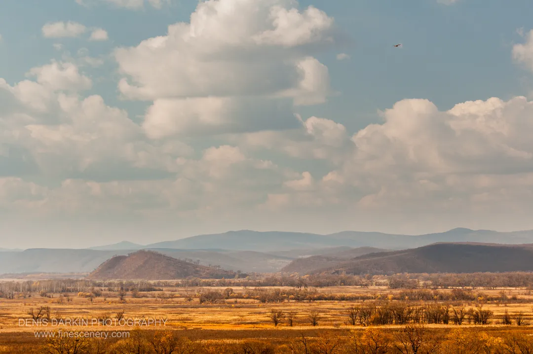 Late autumn floodplain in Chuguyevsky District showing golden grasses and a lone bird beneath large cumulus clouds.