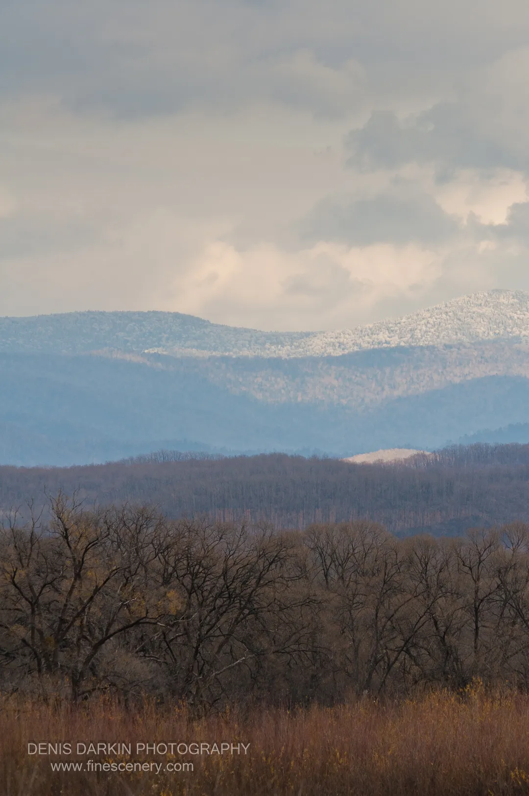 Bare branches and rust-colored grasses stand against distant snow-capped peaks dissolving into blue haze, Chuguyevsky District, Primorsky Krai.