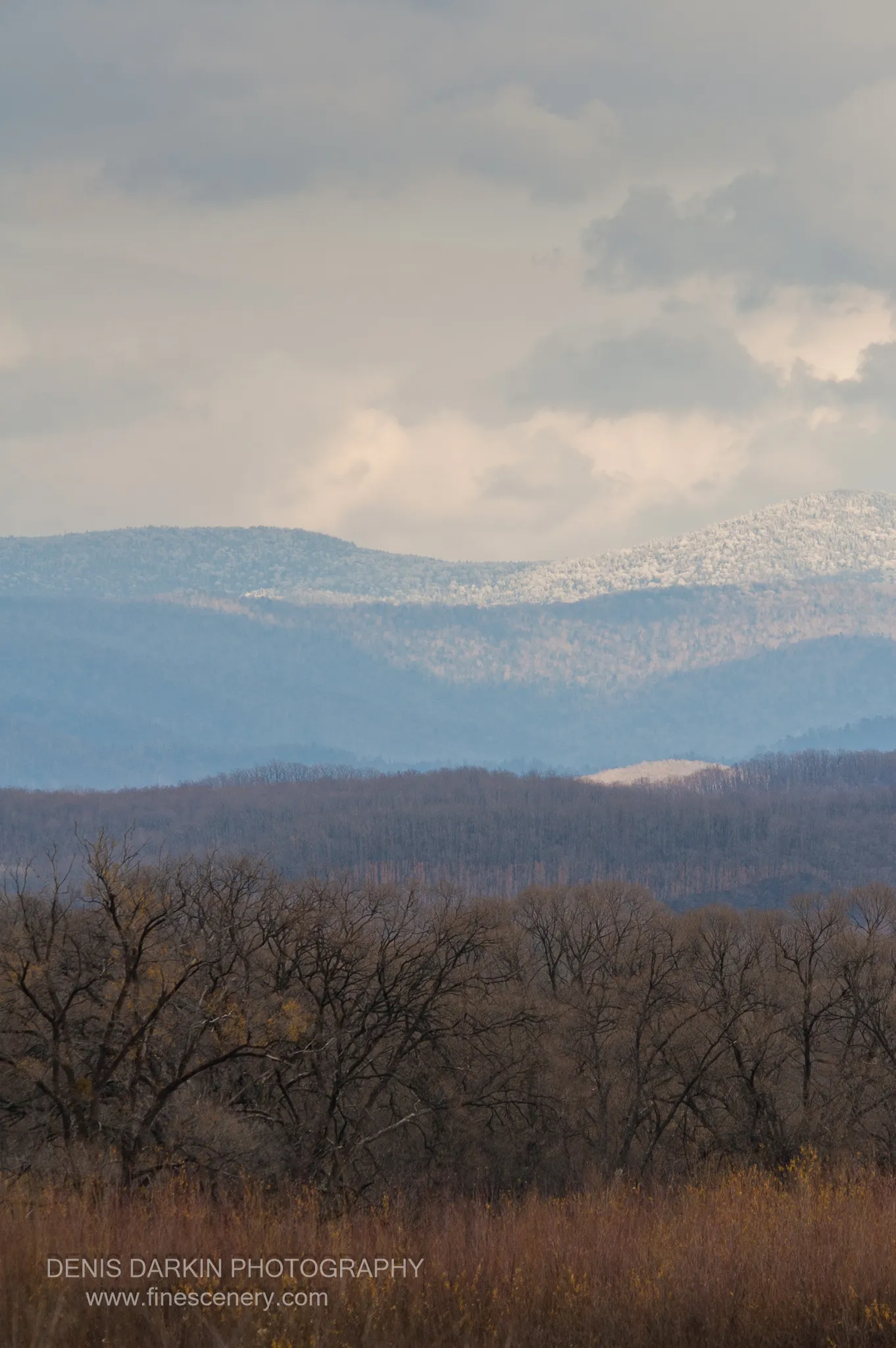 Bare branches and rust-colored grasses stand against distant snow-capped peaks dissolving into blue haze, Chuguyevsky District, Primorsky Krai.