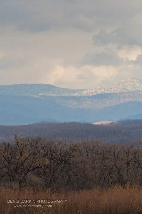 Bare branches and rust-colored grasses stand against distant snow-capped peaks dissolving into blue haze, Chuguyevsky District, Primorsky Krai.