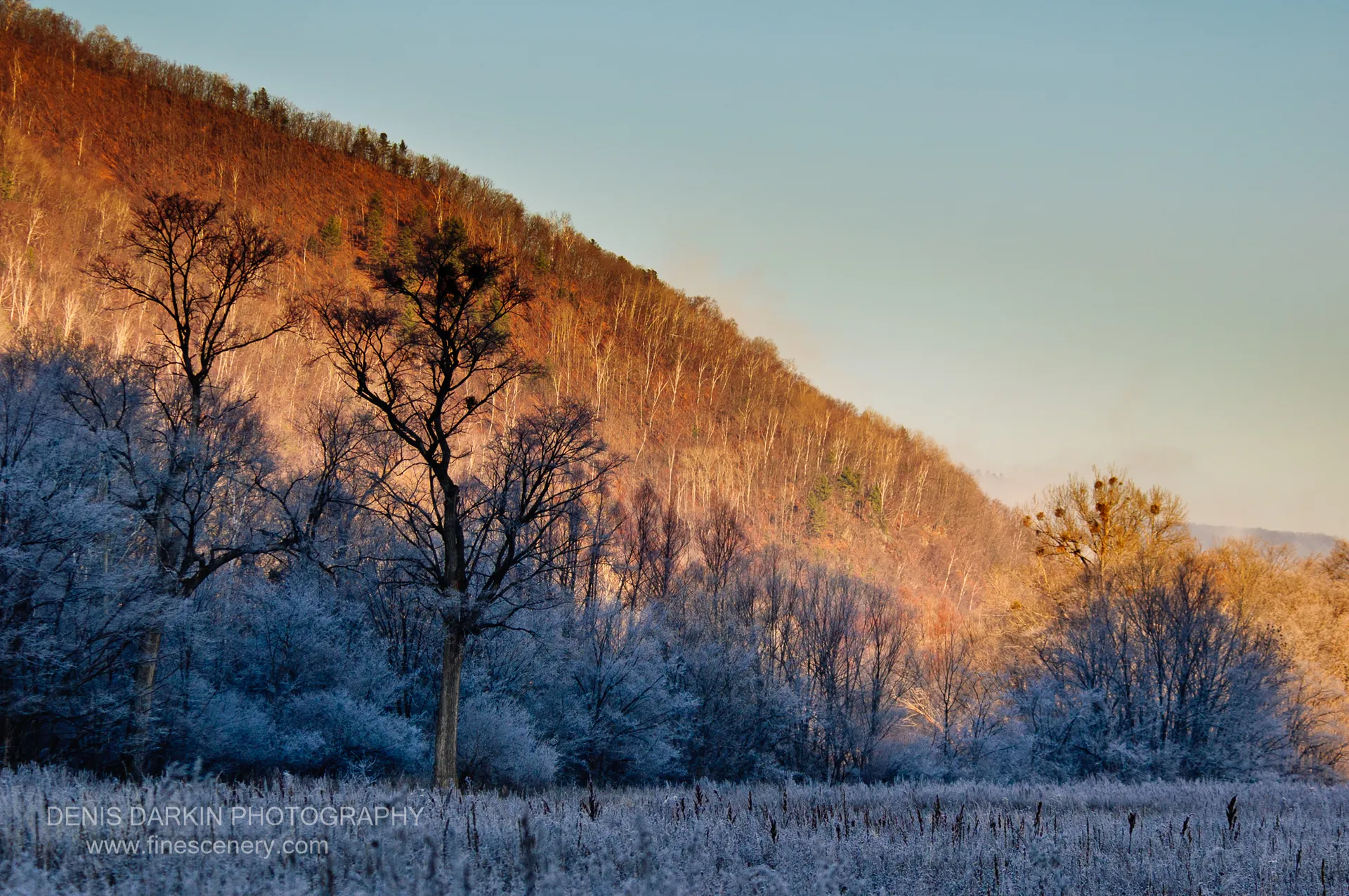 Bare trees with frost-coated branches stand before an orange-tinged sunlit hillside in Chuguyevsky District on an October morning.
