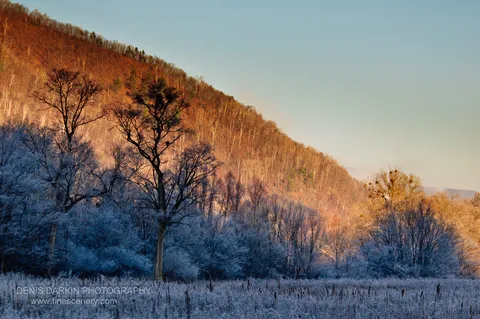 Bare trees with frost-coated branches stand before an orange-tinged sunlit hillside in Chuguyevsky District on an October morning.