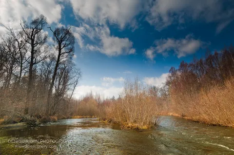 Bare-branched trees lean over the Izvilinka River's edge beneath a deep blue autumn sky, with dry reddish brush in the foreground.