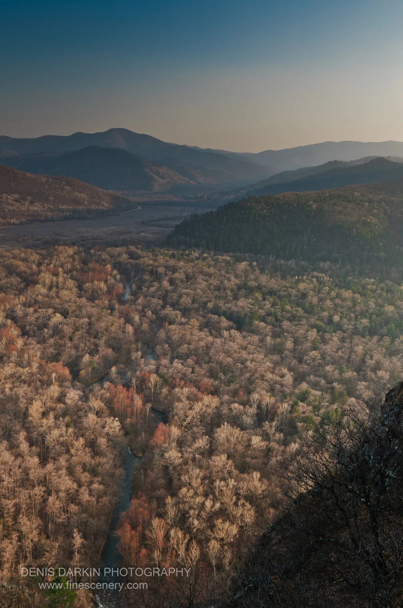High-angle view from above the Izvilinka valley shows the dark river cutting through a forest of pale and rust-colored trees.