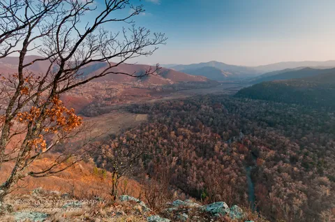 View from a high ridge over the Izvilinka River valley, with lichen stones and bare branches in the foreground and hazy mountains beyond.
