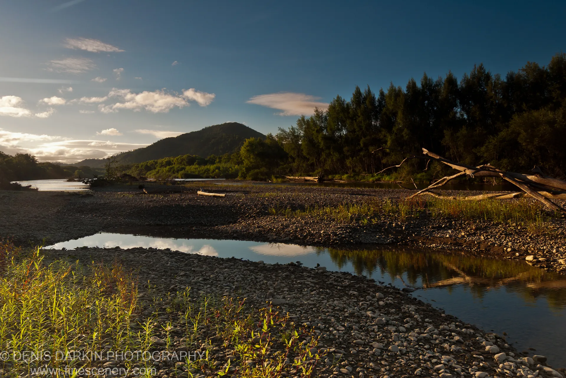 Sunlit pebbles on the Bikin riverbank lead toward a calm pool, with a fallen tree trunk on the right and dense taiga rising behind.