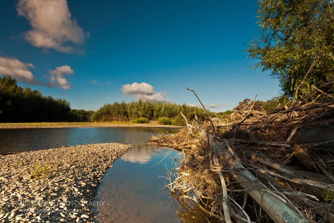 Weathered driftwood piled on the right bank of the Bikin, with a pebble spit extending into calm water under a blue sky.