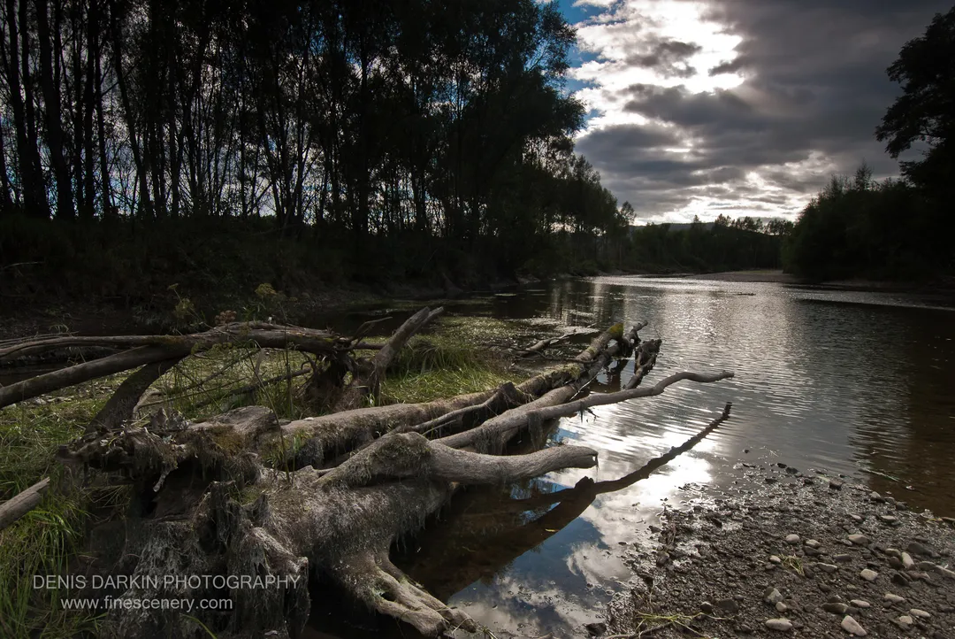 Moss-covered logs rest in the foreground of a wide river in Primorsky Krai as sunlight breaks through heavy clouds overhead.