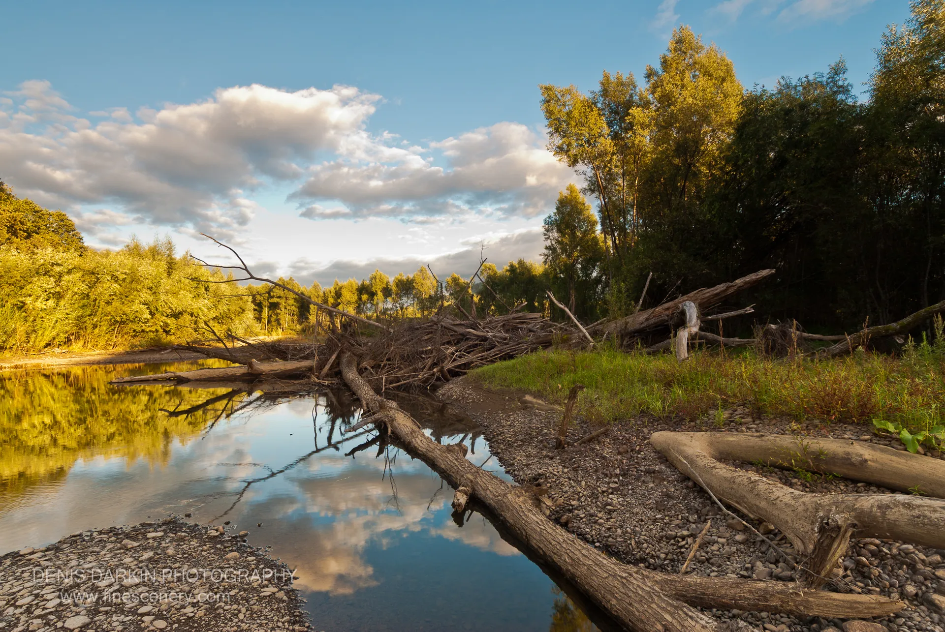 A fallen log extends diagonally across pebbles on the Bikin riverbank, with the still water reflecting blue sky and white clouds in late afternoon.