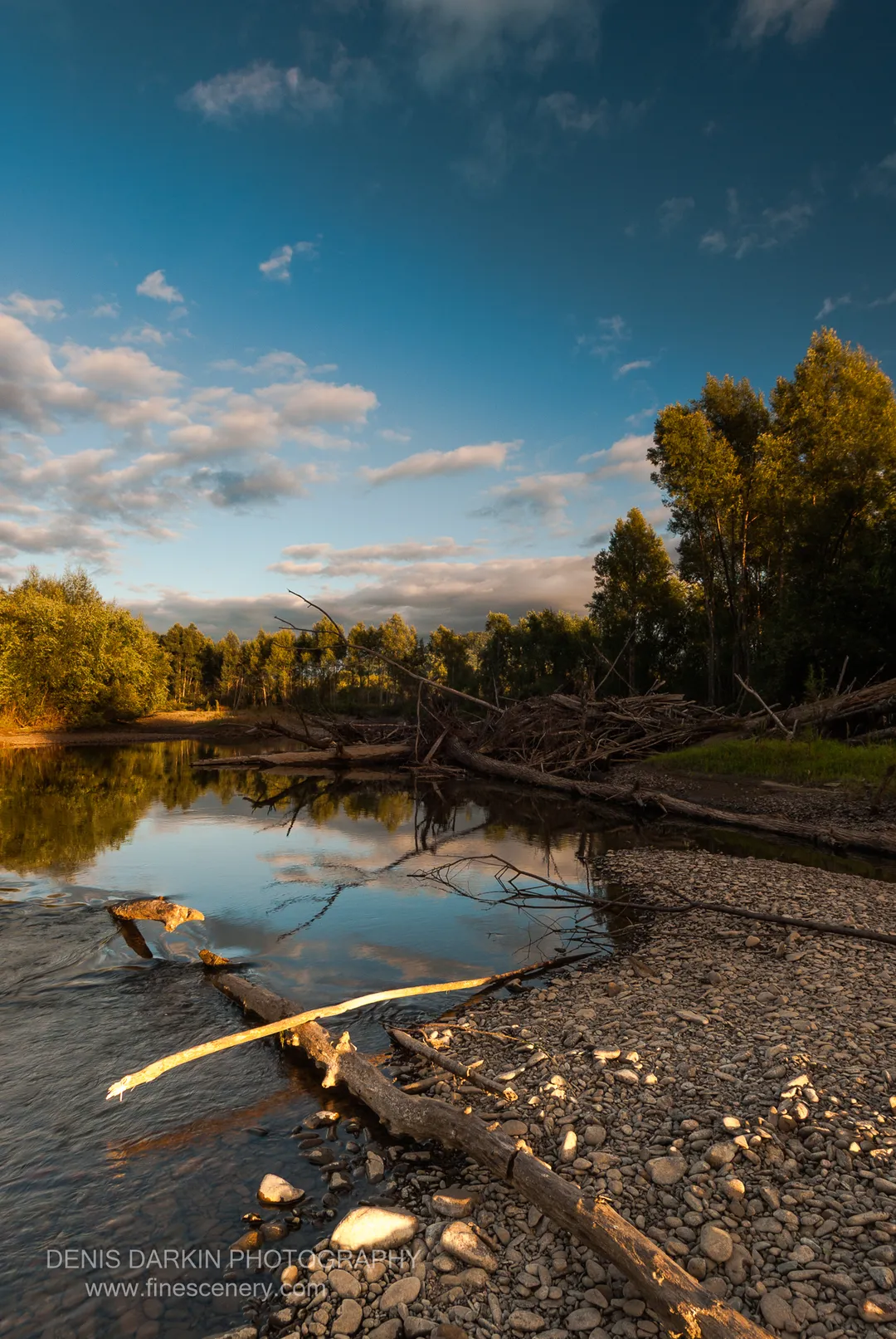 Fallen timber forms a diagonal across a pebbly Bikin riverbank, warm light on the wood and afternoon cloud reflected in the calm water, September 2010.