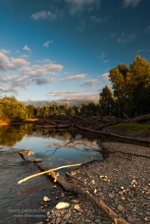 Fallen timber forms a diagonal across a pebbly Bikin riverbank, warm light on the wood and afternoon cloud reflected in the calm water, September 2010.