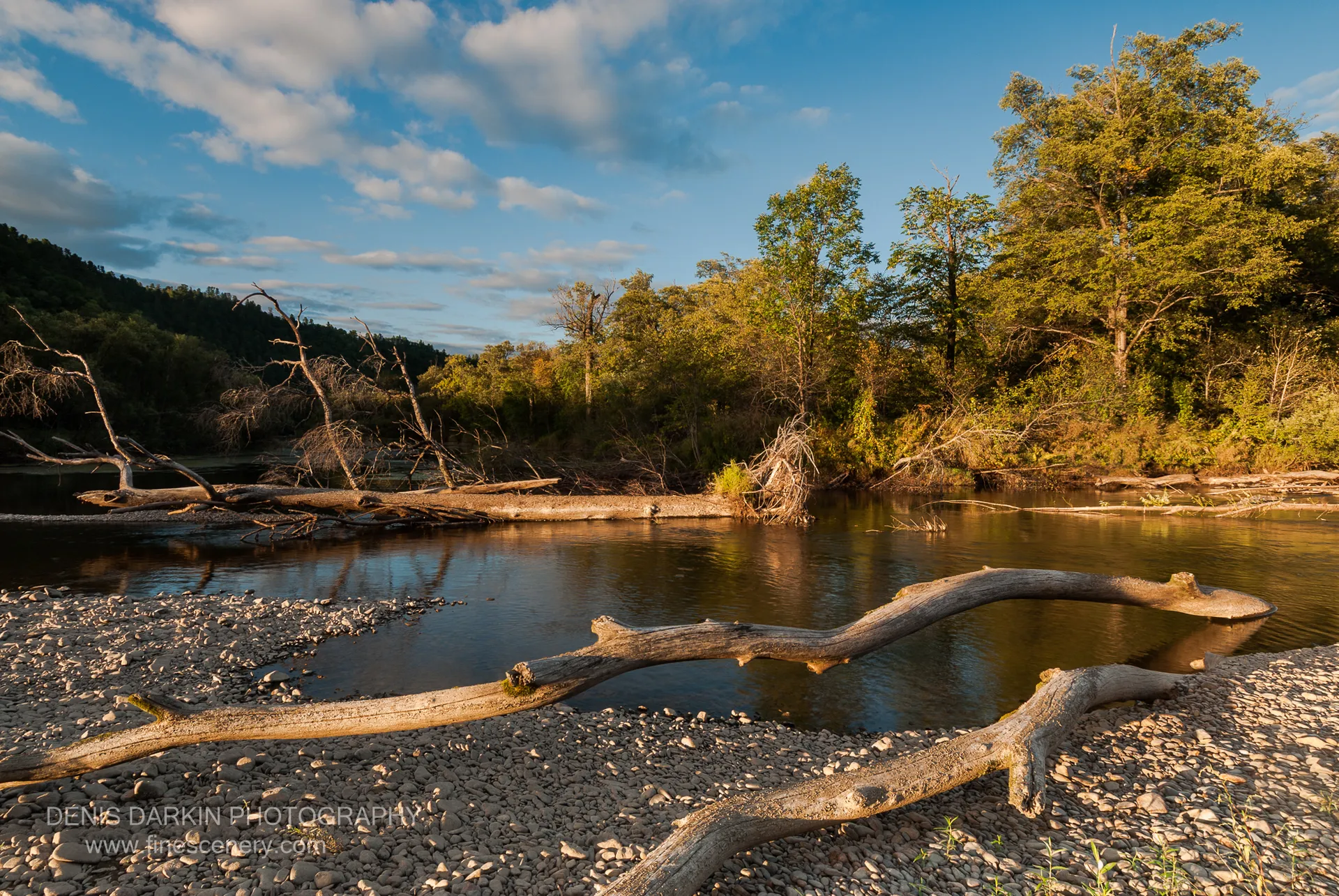 Weathered driftwood on the Bikin River gravel bar at sunset, golden reflections stretching across the calm surface, September 2010.