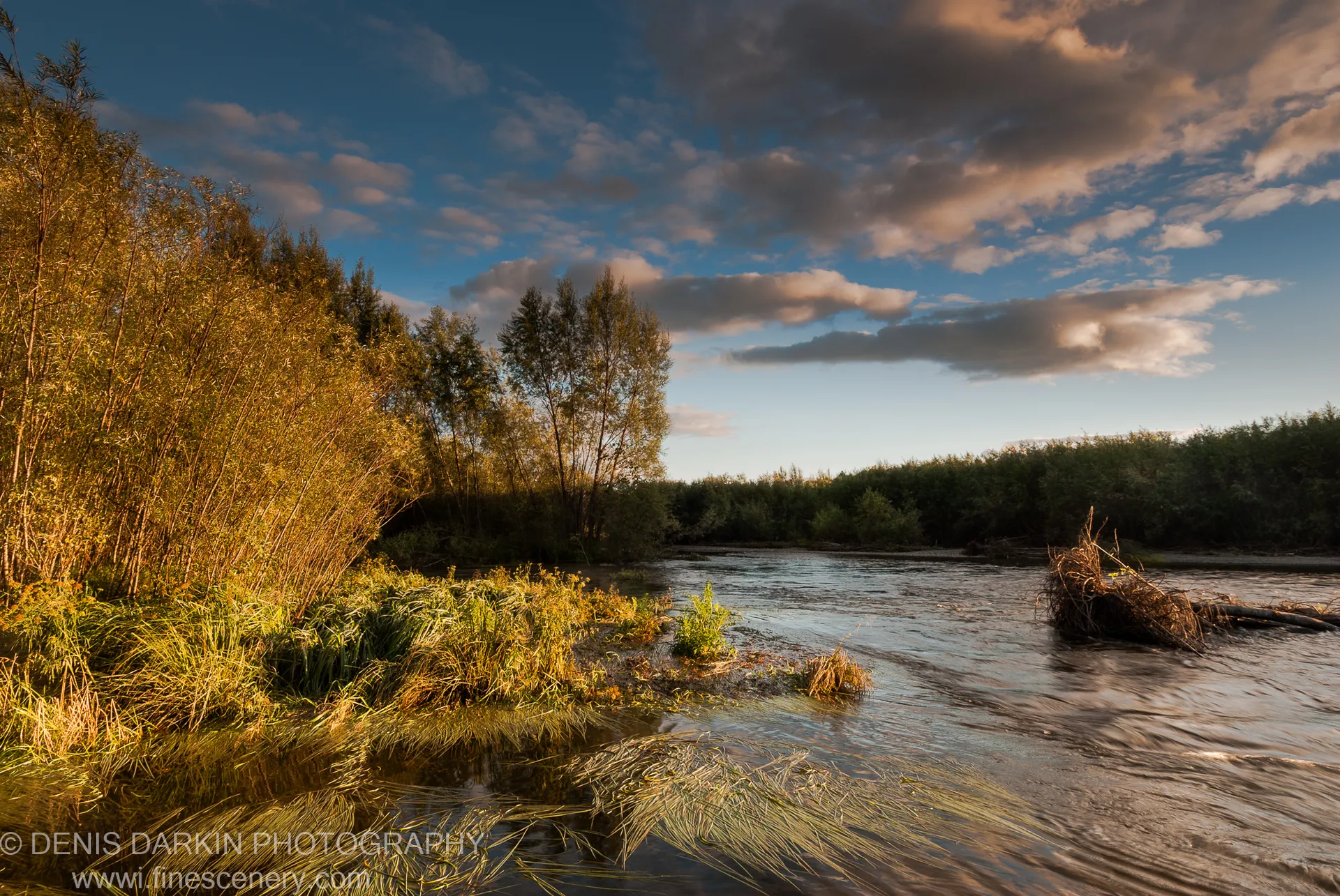 Tall grasses and submerged aquatic weeds fill the Bikin River shallows under heavy evening clouds at golden hour, September 2010.