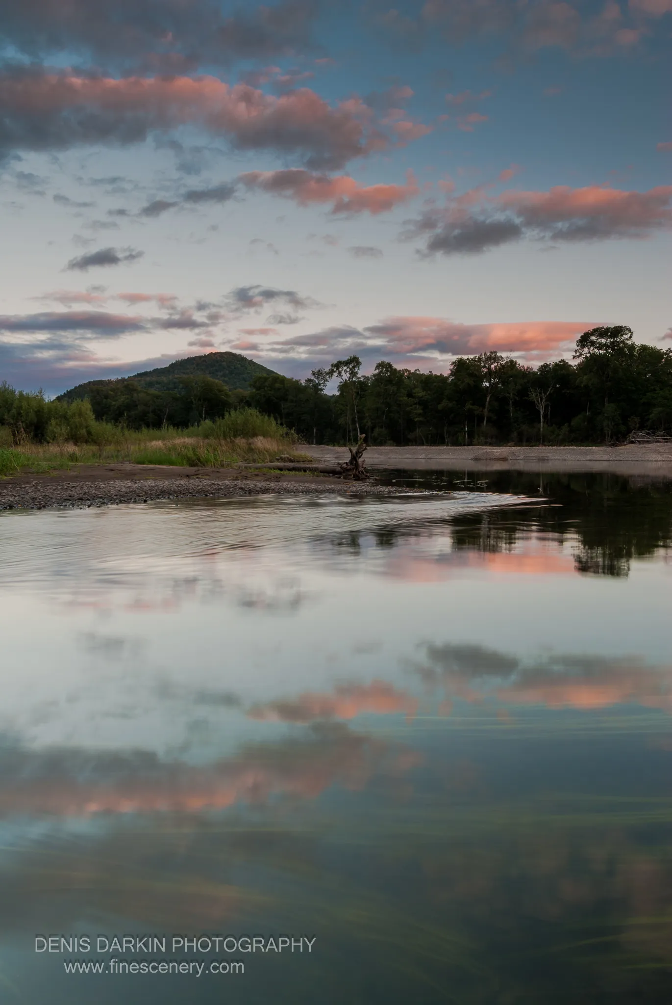 Pink clouds reflected in the still Bikin River at dusk, submerged aquatic grass in the foreground and a driftwood log on the sandy bank.
