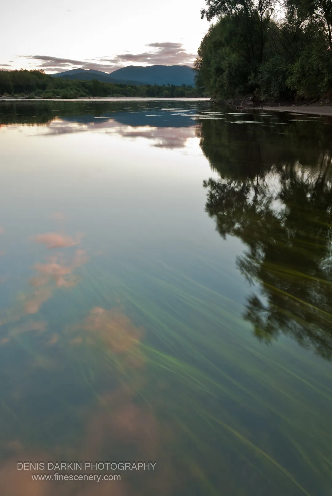 Diagonal bands of submerged aquatic grass cross the glassy surface of the Bikin River at dusk, mountains and tree-lined banks reflected in the still water.