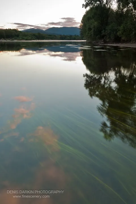 Diagonal bands of submerged aquatic grass cross the glassy surface of the Bikin River at dusk, mountains and tree-lined banks reflected in the still water.