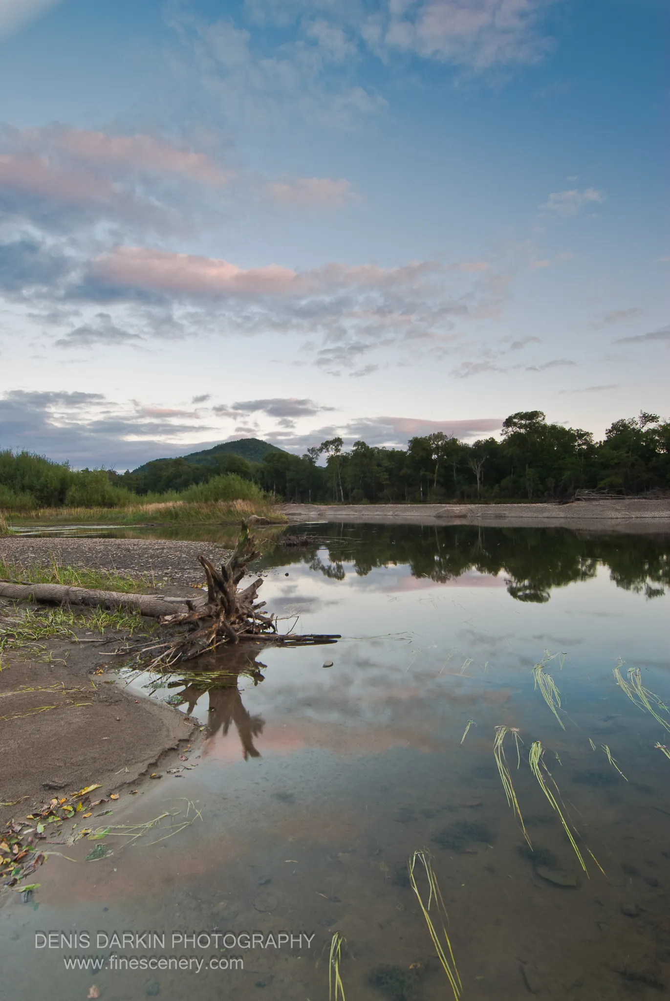 Gnarled driftwood rests on the muddy bank of the Bikin River at dusk, the calm water beside it reflecting pale pink and blue clouds.