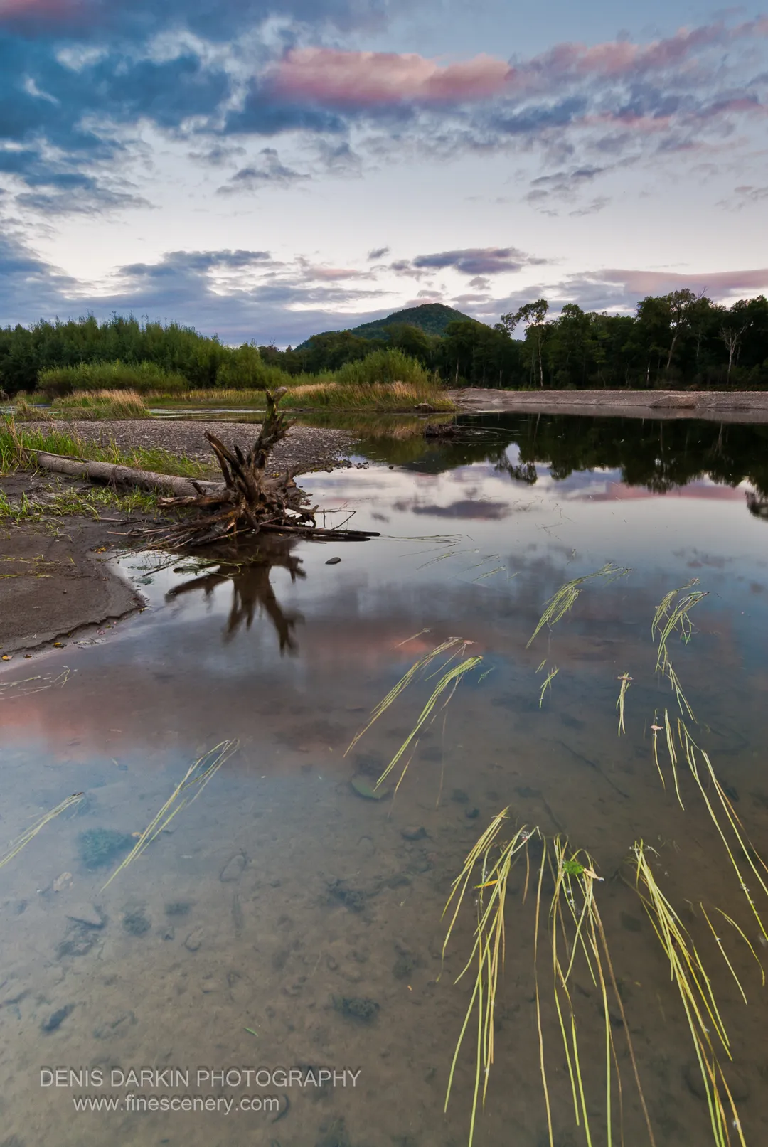 Clear shallow water at Shark Rock reveals yellowing reeds and a driftwood snag against a soft pastel twilight sky, September 2010.
