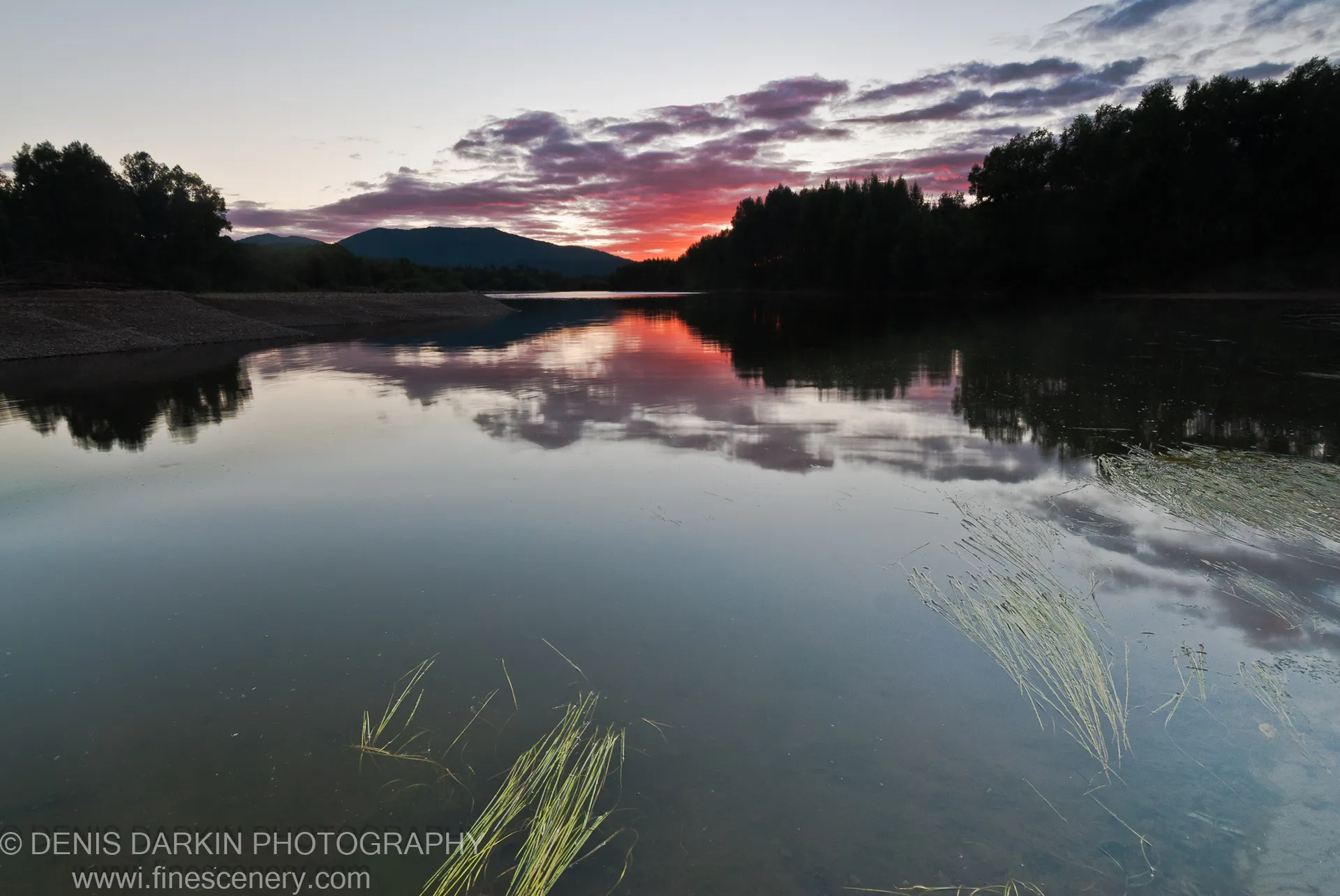 Silhouetted tree lines on both Bikin River banks at dusk, submerged aquatic grass in the foreground and a mountain range beyond.