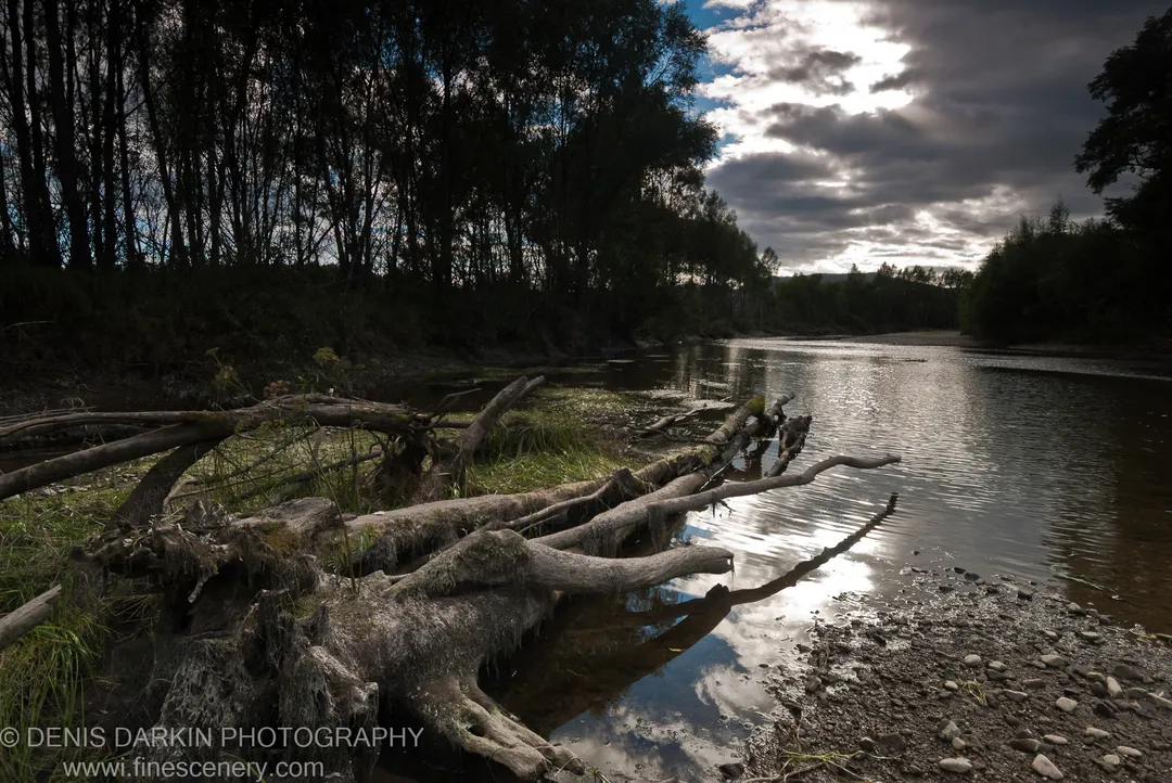 Moss-covered log and twisted roots along the muddy Bikin River bank, the water reflecting bright cloud breaks against a dark approaching storm sky.
