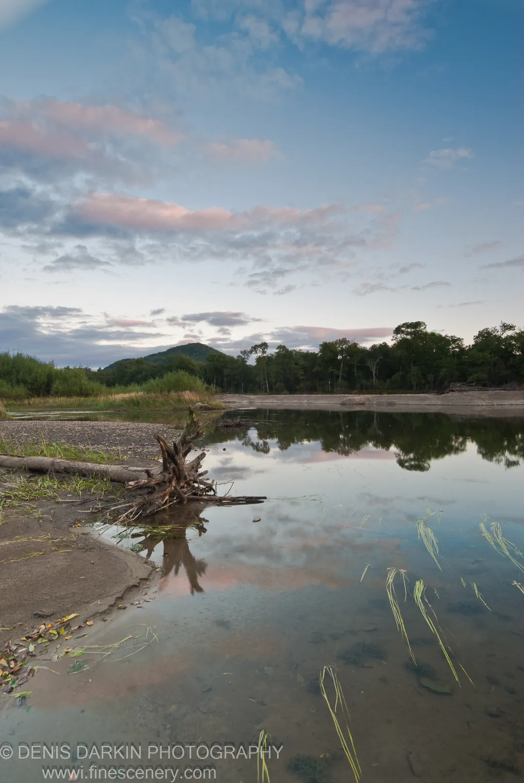 A weathered piece of driftwood on the left bank of the Bikin River at twilight, still water reflecting pink clouds and a distant rounded hill.