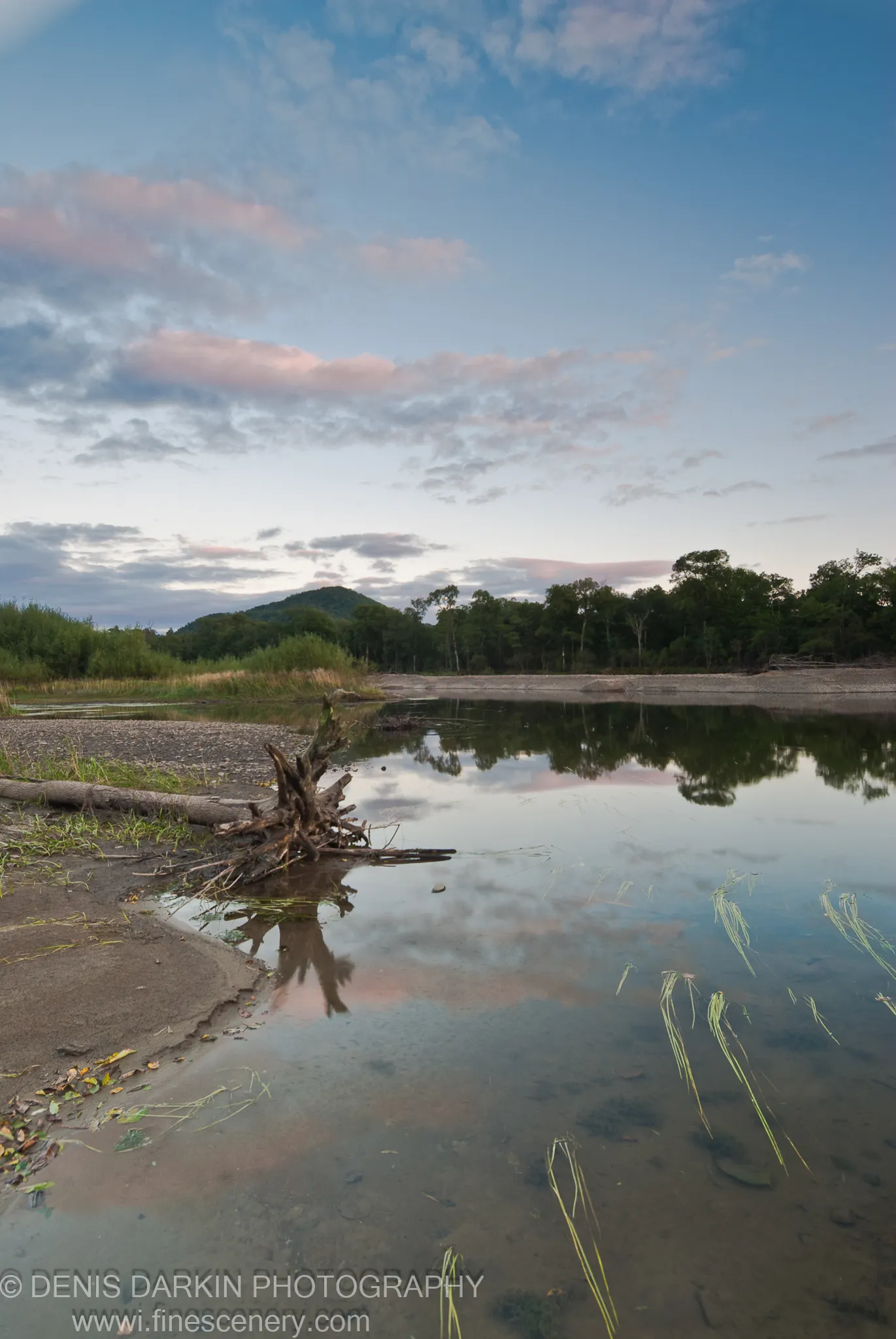 A weathered piece of driftwood on the left bank of the Bikin River at twilight, still water reflecting pink clouds and a distant rounded hill.