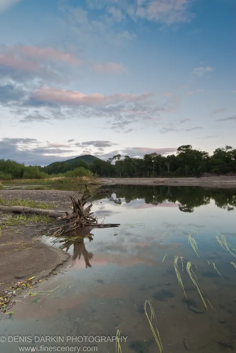 A weathered piece of driftwood on the left bank of the Bikin River at twilight, still water reflecting pink clouds and a distant rounded hill.