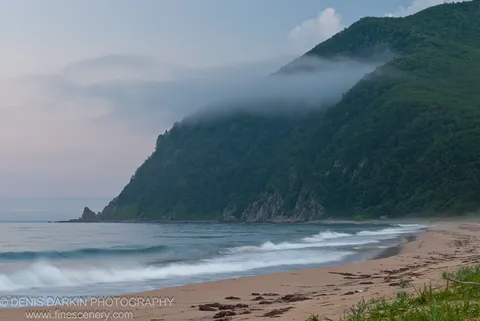 A fog-shrouded forested mountain slopes to a sandy beach at Tachingouza Bay, with gentle breaking waves and scattered dark seaweed under an overcast sky.