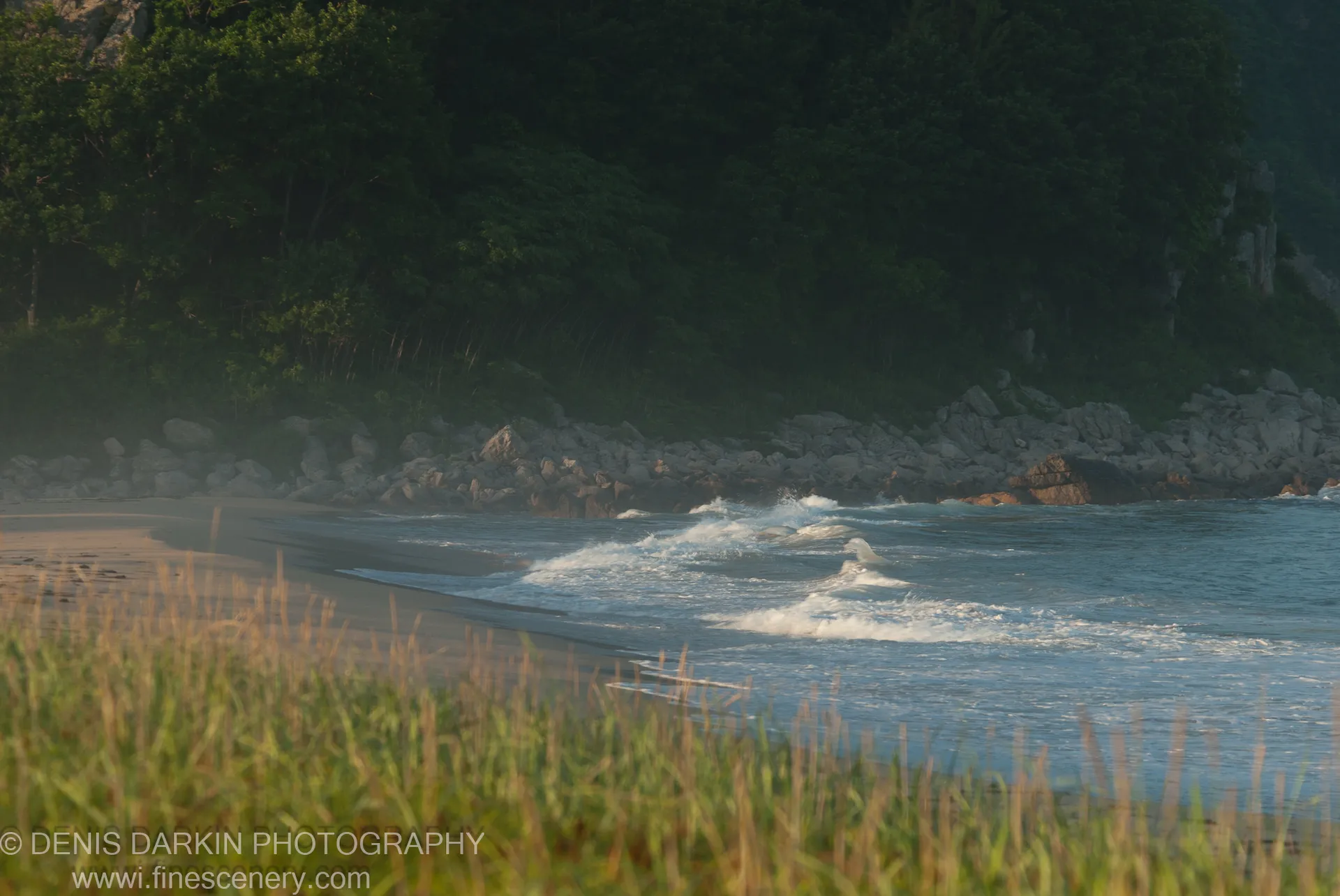 Soft-focused coastal grass at Tachingouza Bay foregrounds white surf rolling onto a sandy beach, backed by jagged rocks and a densely forested cliff in shadow.
