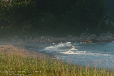 Soft-focused coastal grass at Tachingouza Bay foregrounds white surf rolling onto a sandy beach, backed by jagged rocks and a densely forested cliff in shadow.