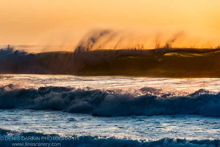 Central Coast