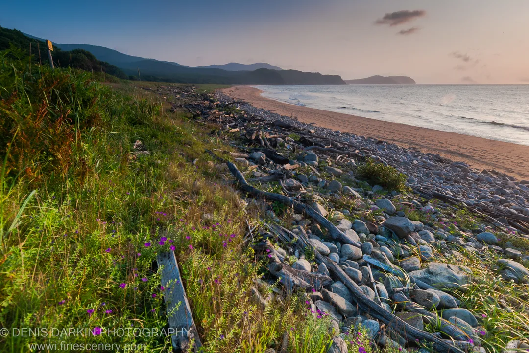 Weathered driftwood and smooth grey stones along the water's edge at Tachingouza Bay, with distant dark mountains visible under a soft morning sky.
