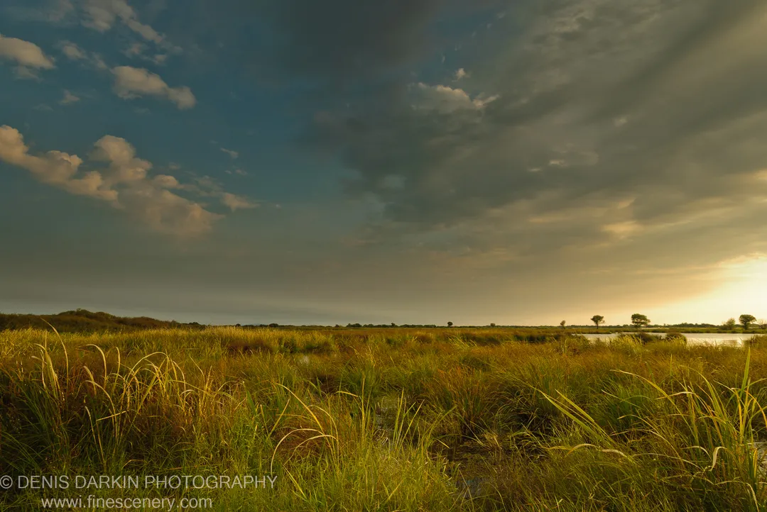 Tall green-gold grass fills a Lefu River marsh at golden hour as storm clouds break to reveal warm light on the right horizon, September 2010.
