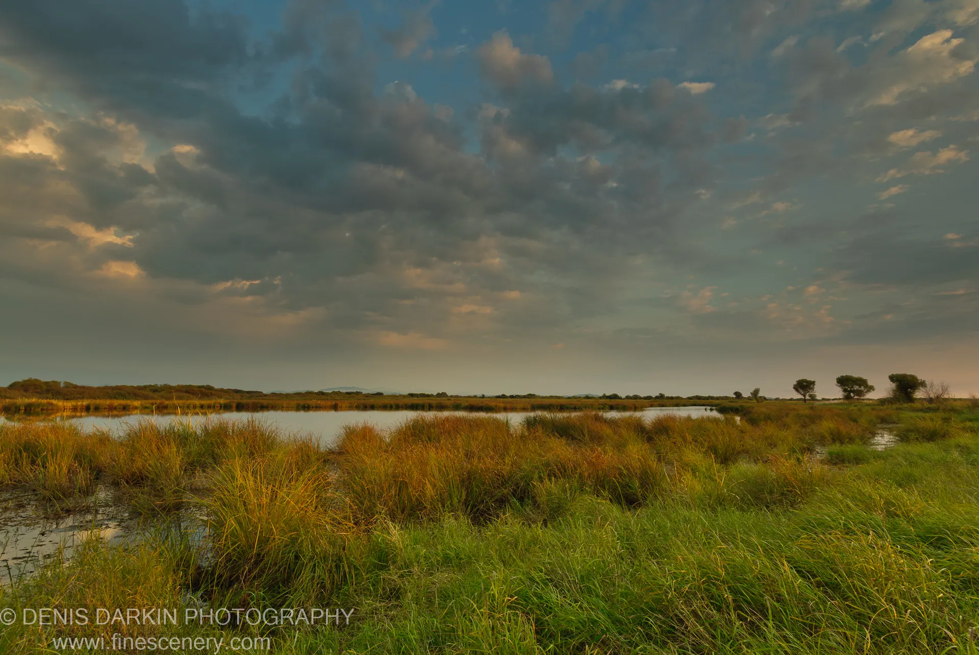 A wide Lefu River wetland at golden hour, green reeds giving way to golden grasses, billowing clouds reflected in calm water, September 2010.