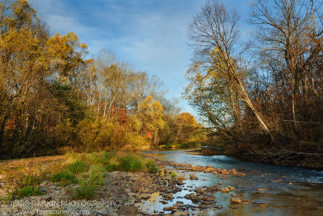 A rocky riverbed where clear water winds past banks of golden autumn foliage under a bright blue sky, Lefu River, Primorsky Krai.