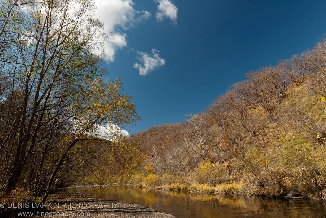 Yellowing trees line the left bank as a sunlit hillside transitions from green to burnt orange, Daubihe River, Primorsky Krai, October 2010.