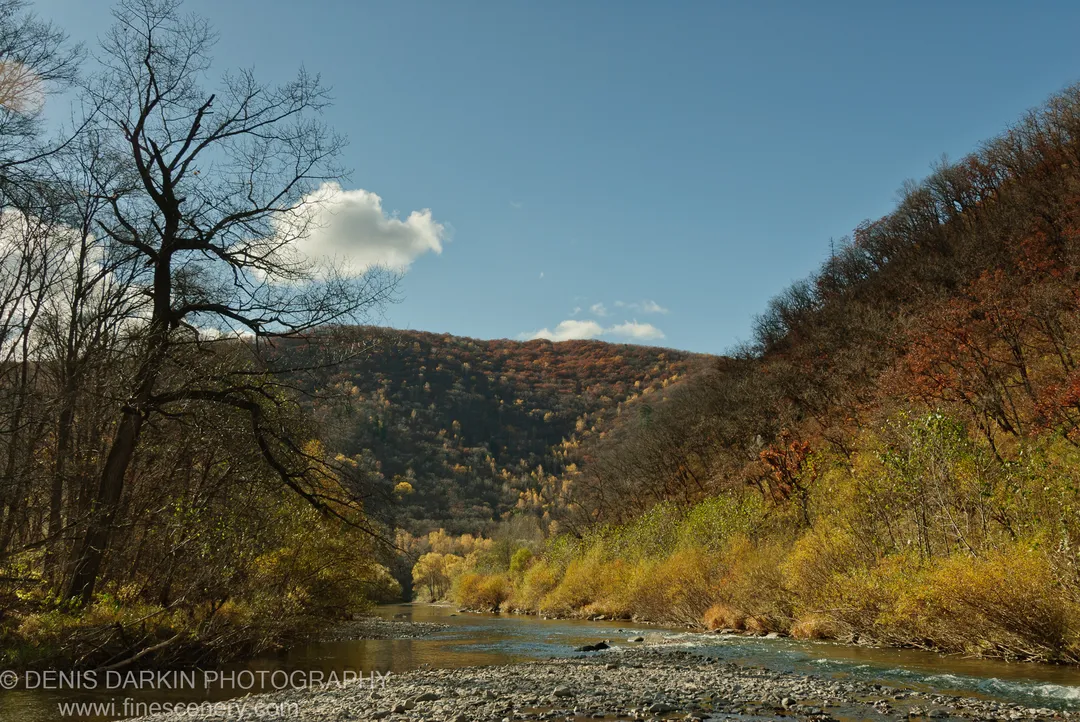 A leafless tree on a rocky bank with the Lefu River winding through a valley of autumn-covered hills, Primorsky Krai.