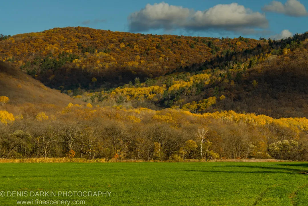 Green pasture in the foreground below a hillside of mixed autumn foliage and dark evergreens, Lefu River valley, Primorsky Krai, October 2010.