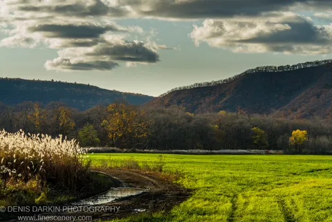 Backlit white grasses and a muddy track cross a green valley floor, with dark russet-toned hills beyond, Lefu River area, Primorsky Krai.