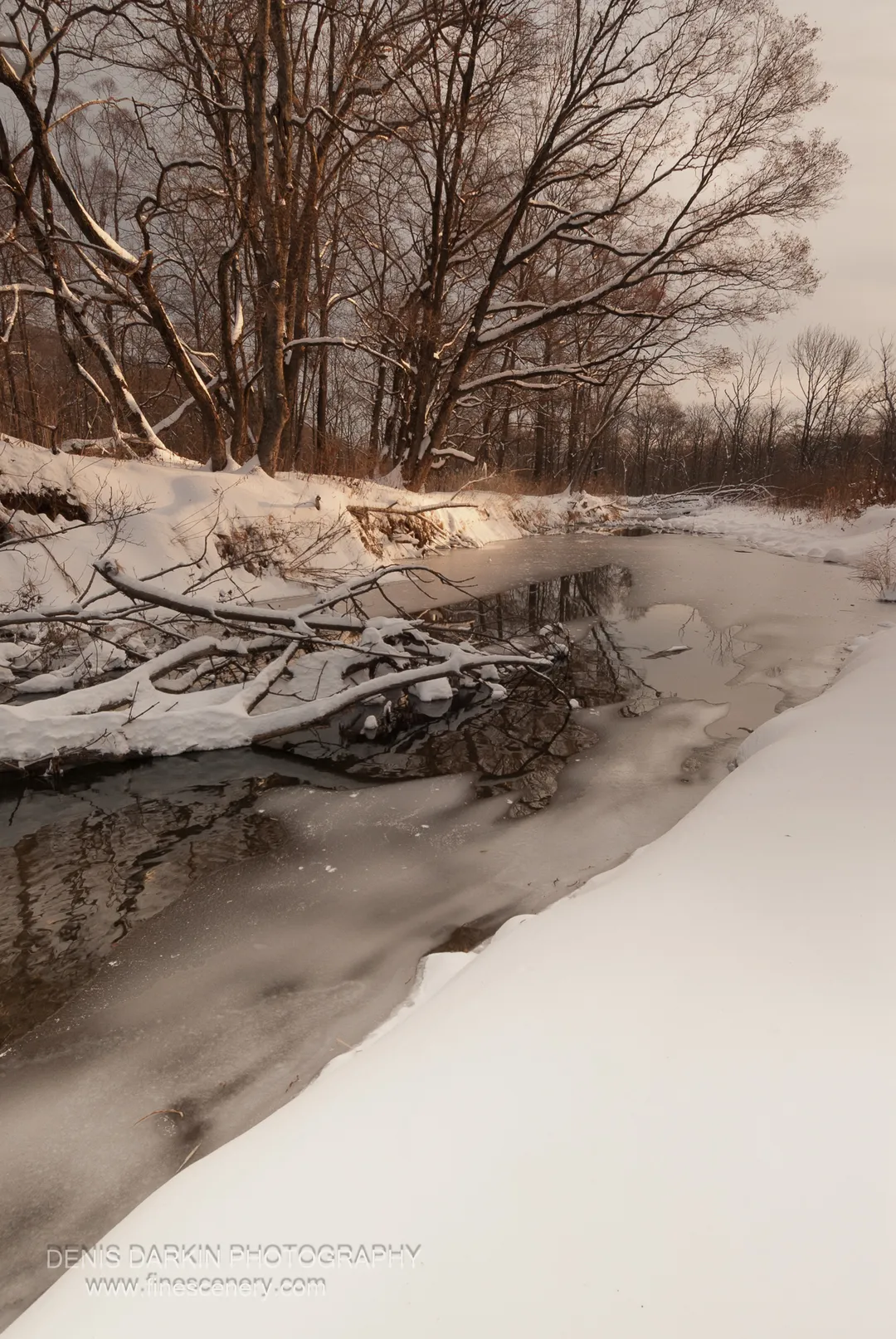 Dark forest trunks line a partially frozen river bank, floating ice patches drifting near a fallen tree on the snow-covered shore.