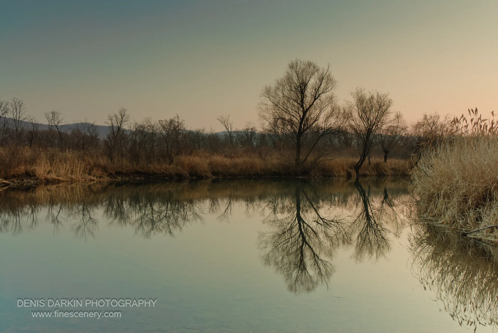 Bare tree silhouettes reflected in the still Komissarovka River at sunset, dry golden reeds lining the bank, late autumn.