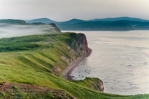 A grassy coastal slope descends into reddish-brown cliffs along Vladimir Bay at dawn, mist clinging to rolling hills above the calm bay.