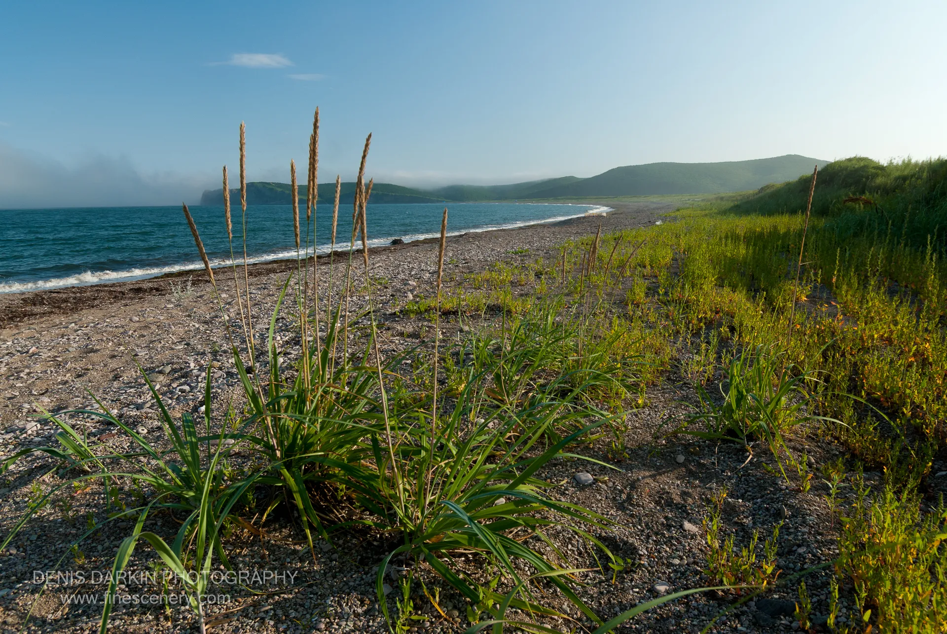 Tufts of tall coastal grass anchor a curved pebbly shoreline at Topauza Bay, with deep blue water and mist-covered distant cliffs behind.